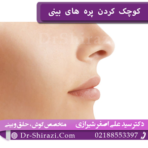 کوچک کردن پره های بینی